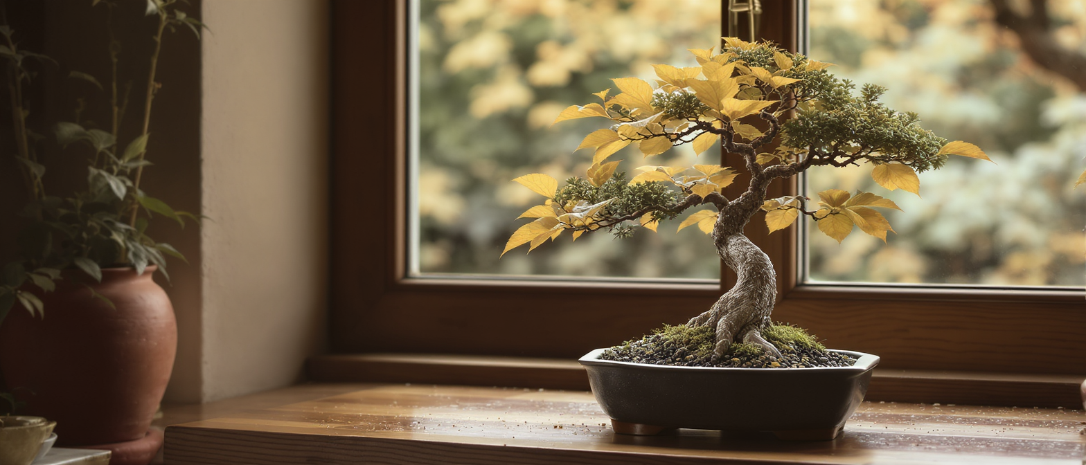 découvrez les causes courantes de la chute des feuilles de votre bonsaï, avec des solutions pratiques, les limites à connaître et les erreurs fréquentes à éviter pour bien le soigner.