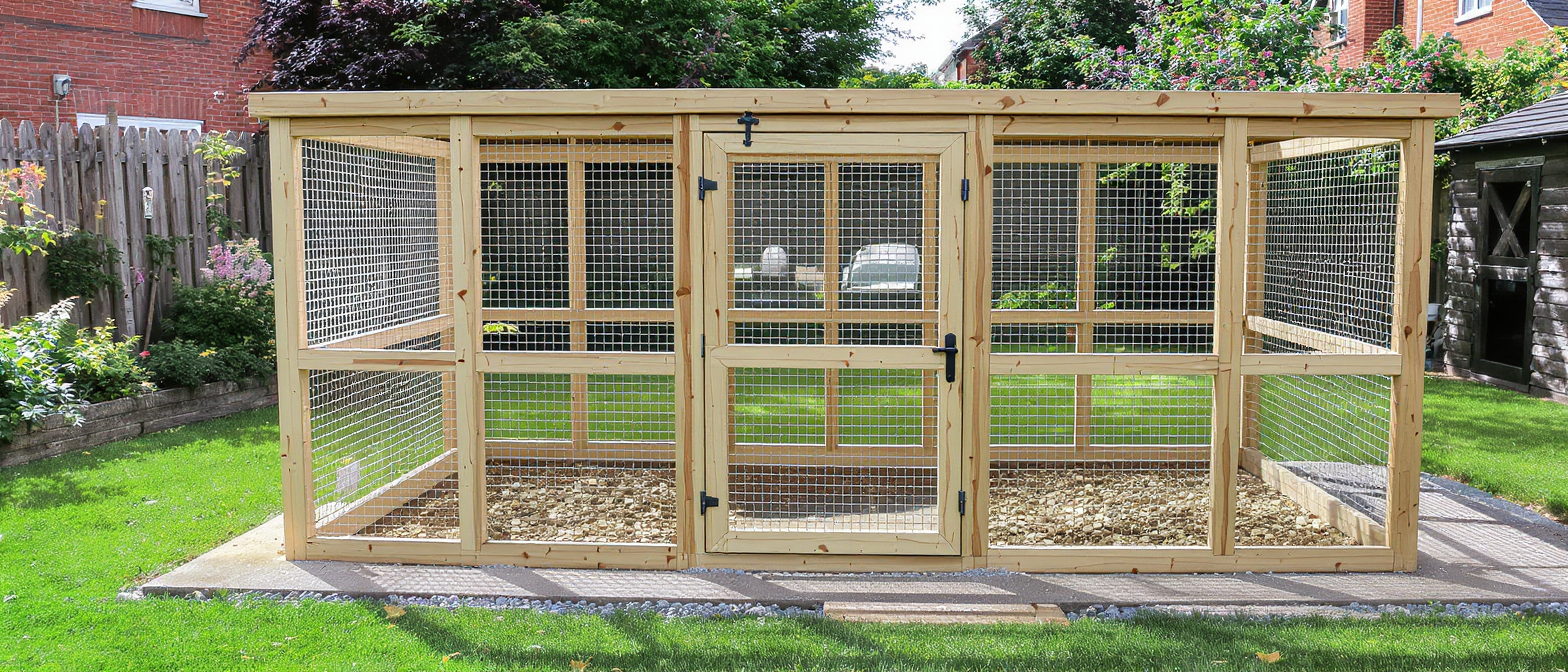 découvrez comment construire le refuge idéal pour votre tortue de terre en apprenant les conseils pratiques, les limites à respecter et les erreurs fréquentes à éviter pour garantir son bien-être.