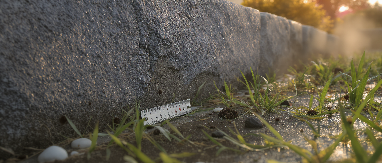découvrez comment identifier les crottes d'animaux nocturnes grâce à des conseils pratiques, apprenez les limites de cette méthode et évitez les erreurs fréquentes pour une reconnaissance fiable.