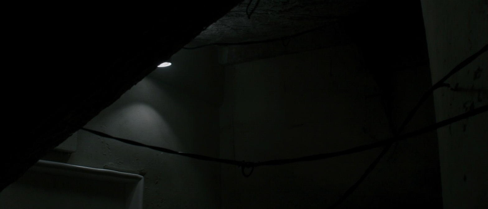 découvrez comment détecter et éliminer efficacement la mérule sur bois. guide pratique sur les méthodes, les limites à connaître et les erreurs fréquentes à éviter.